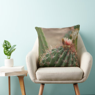 Closeup of Pink Cactus Flower Cushion