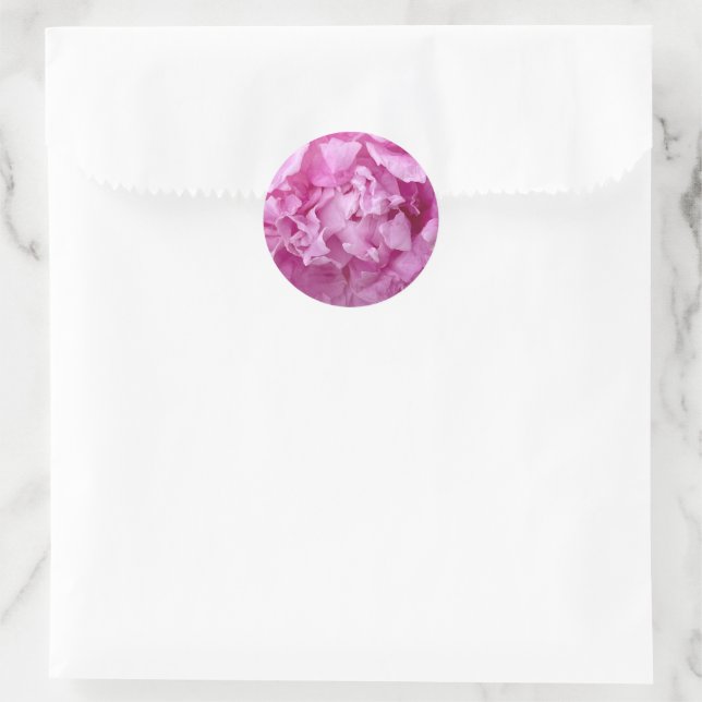 Closeup of pink peonies classic round sticker (Bag)