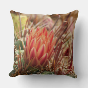 Closeup of Red Cactus Blossom Cushion