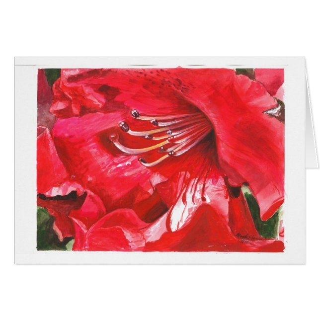 Closeup of Rhododendron (Front Horizontal)