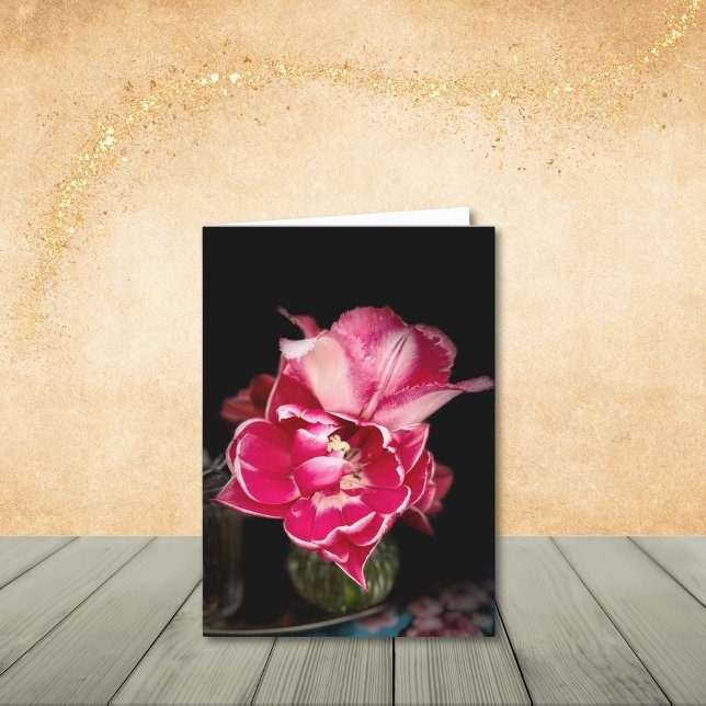 Closeup of Tulips, Pink and White, Note Cards (Closeup of pink & white tulips, photo taken outside Enkhuizen, Netherlands.)