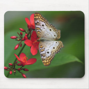 Closeup of white butterfly mouse mat