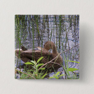 Closeup photo of a duck 15 cm square badge
