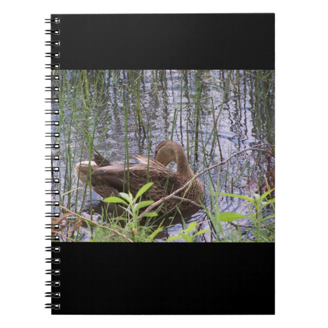 Closeup photo of a duck notebook (Front)