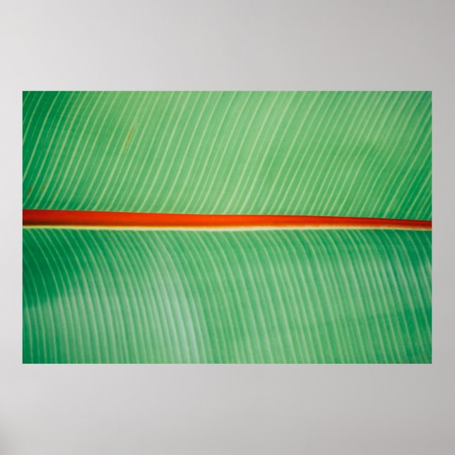 Closeup photo of green leaf poster (Front)
