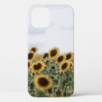 CLOSEUP PHOTO OF SUNFLOWERS