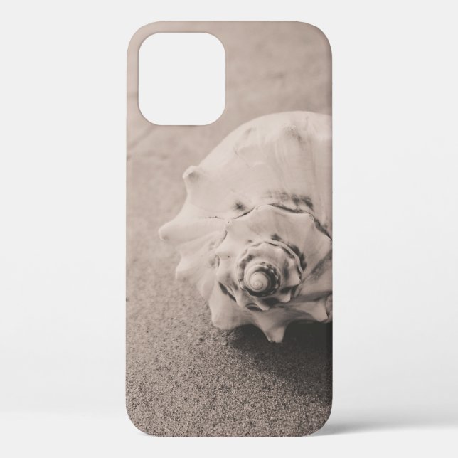Closeup photo of white seashell on sand Case-Mate iPhone case (Back)
