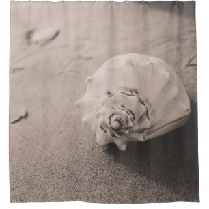 Closeup photo of white seashell on sand shower curtain