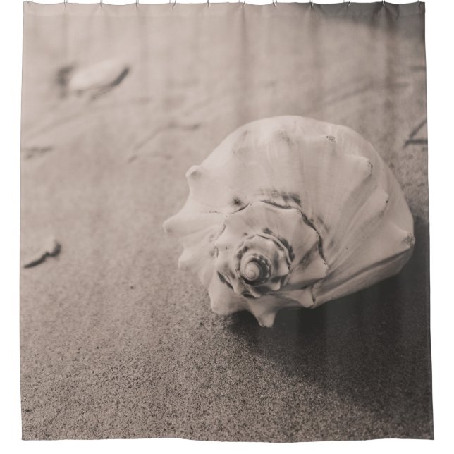Closeup photo of white seashell on sand shower curtain (Front)