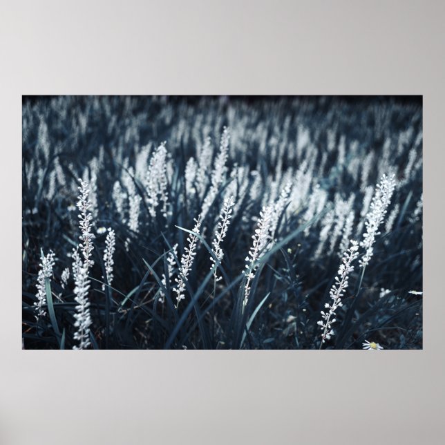 CLOSEUP PHOTOGRAPHY OF GREEN-LEAFED PLANT POSTER (Front)