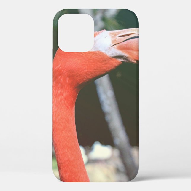 Closeup photography of red long-neck bird Case-Mate iPhone case (Back)
