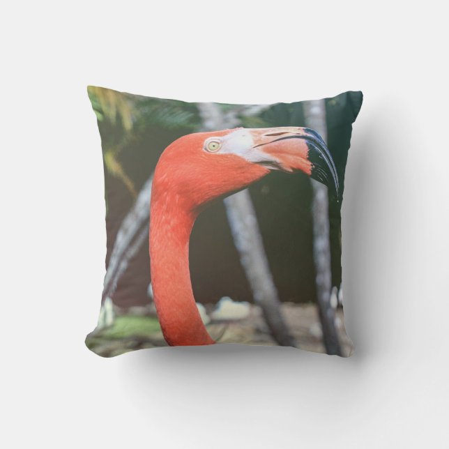 Closeup photography of red long-neck bird cushion (Front)