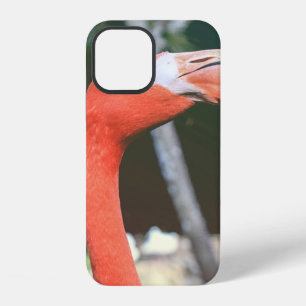Closeup photography of red long-neck bird iPhone 12 case