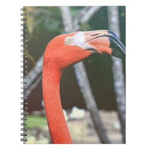 Closeup photography of red long-neck bird notebook