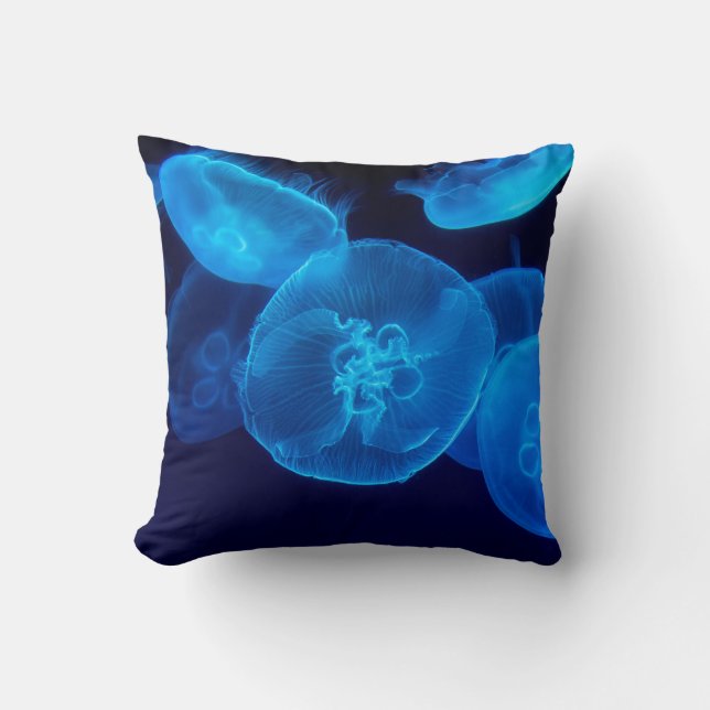 CLOSEUP PHOTOGRAPHY OF SWARM OF JELLYFISH CUSHION (Front)