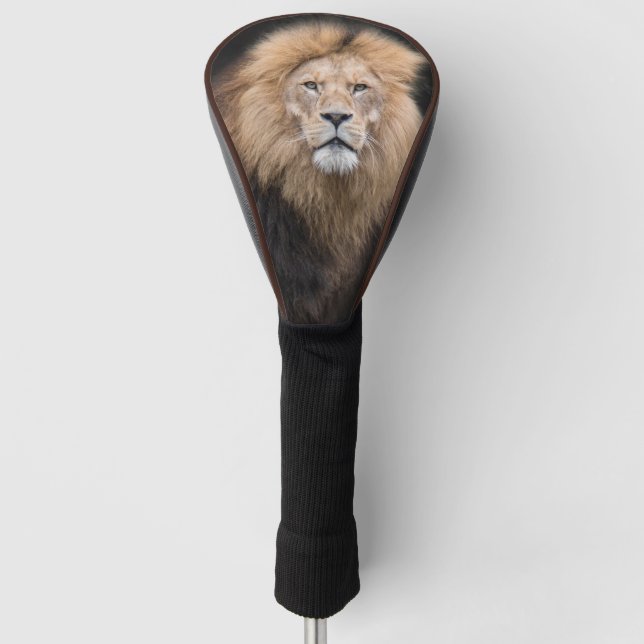 Closeup Portrait of a Male Lion Golf Head Cover (Front)