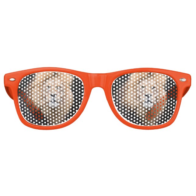 Closeup Portrait of a Male Lion Retro Sunglasses (Front)