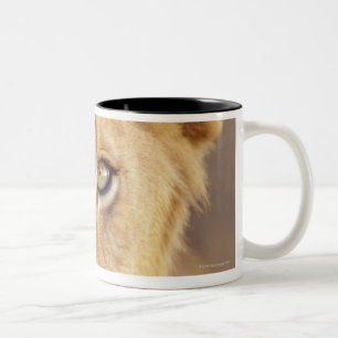 Closeup portrait of a young male lion lying Two-Tone coffee mug