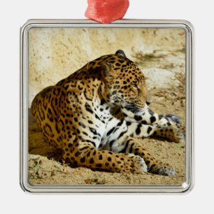 Closeup profile portrait of Jaguar lying on ground Metal Tree Decoration