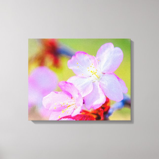 Closeup View Of Pink Sakura Cherry Blossoms Canvas Print (Front)
