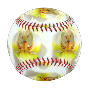 closeup yellow-white orchids Thunder_Cove Baseball
