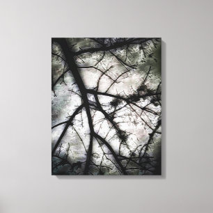 Closing In Canvas Print