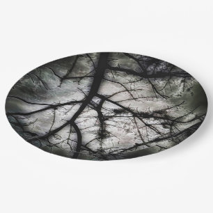 Closing In Paper Plate