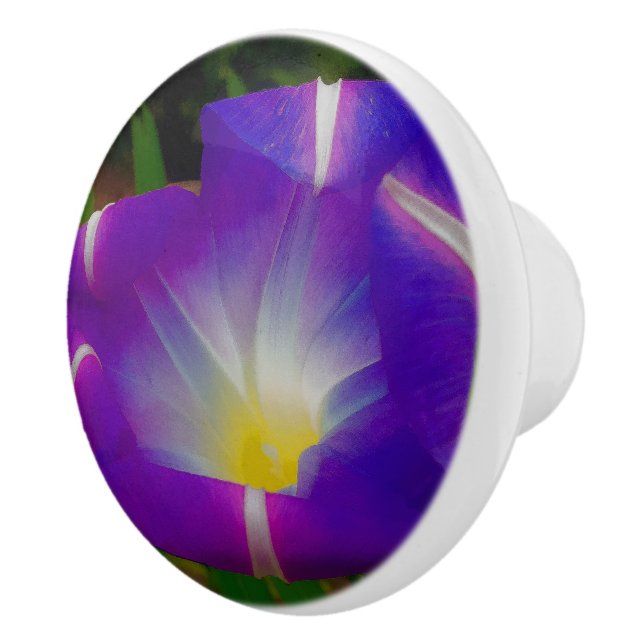 Closing Time for Morning Glories Ceramic Knob (Right)