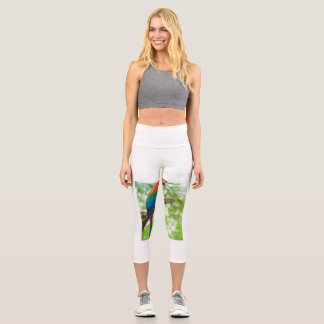 Clothing & Shoes > Women's Fashion > Clothing > Le Capri Leggings