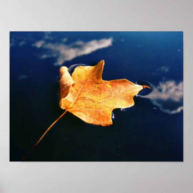 cloud dancer (auto sized) poster (Front)