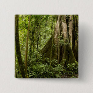 Cloud forest, Bosque de Paz, Costa Rica 15 Cm Square Badge