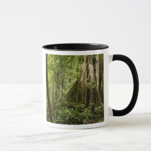 Cloud forest, Bosque de Paz, Costa Rica Mug