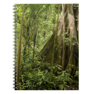 Cloud forest, Bosque de Paz, Costa Rica Notebook