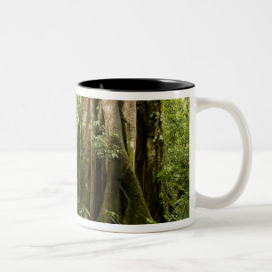 Cloud forest, Bosque de Paz, Costa Rica Two-Tone Coffee Mug