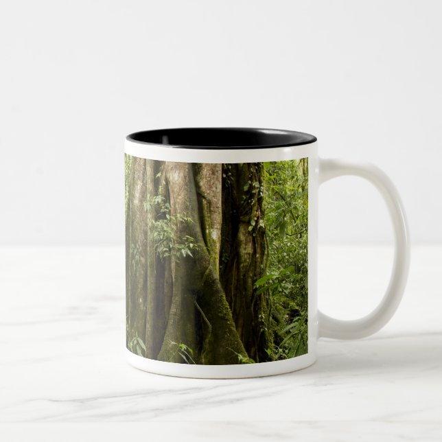 Cloud forest, Bosque de Paz, Costa Rica Two-Tone Coffee Mug (Right)