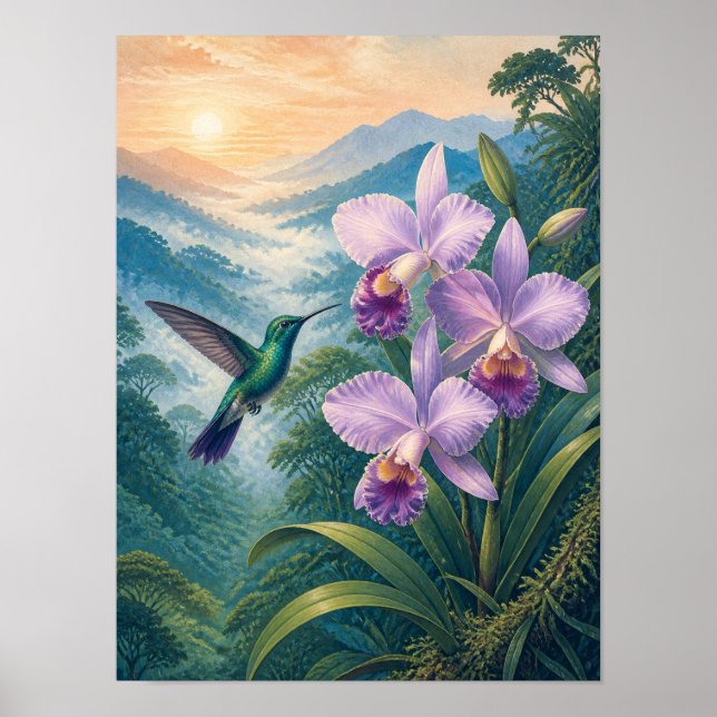 Cloud Forest Hummingbird Orchid 12x16 Poster (Front)