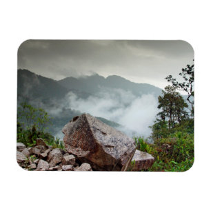 Cloud forest magnet
