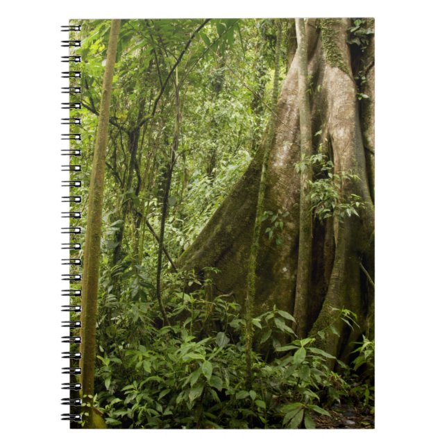 Cloud forest, Peace Rain Forest, Costa Rica Notebook (Front)