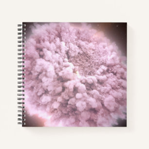 Cloud Of Debris From Two Neutron Stars Notebook