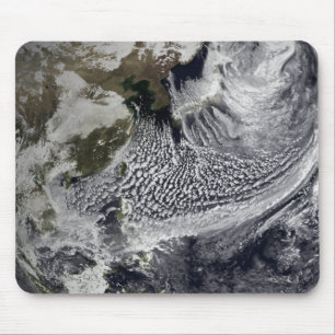 Cloud simulation of a single day 4 mouse mat