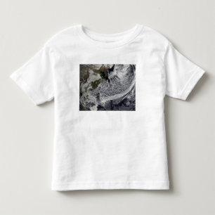 Cloud simulation of a single day 4 toddler T-Shirt