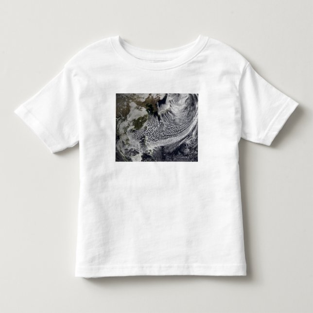 Cloud simulation of a single day 4 toddler T-Shirt (Front)
