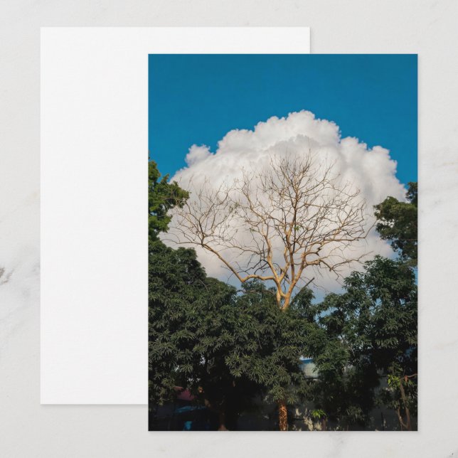 Cloud Tree Flat Card (Front/Back)