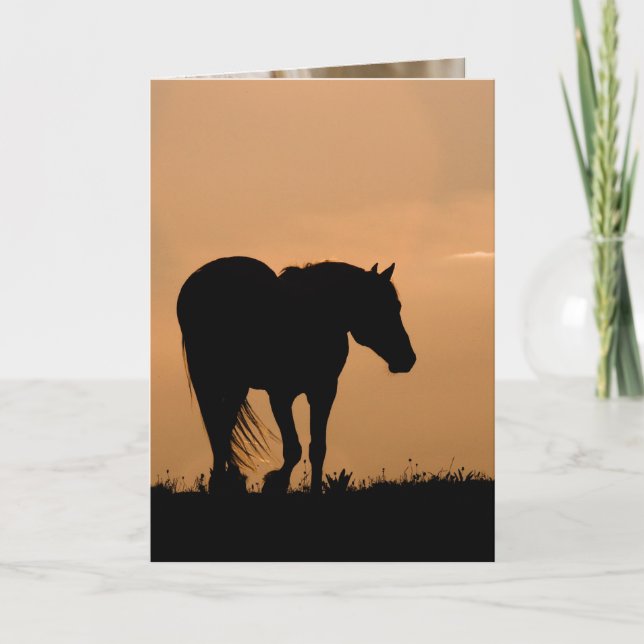 Cloud Walks at Sunset Wild Horse Greeting Card (Front)