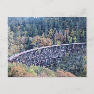Cloudcroft New Mexico forest trestle bridge Postcard