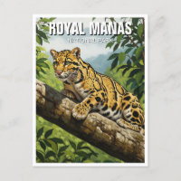 Clouded Leopard at Royal Manas National Park