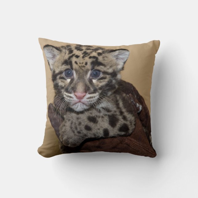 Clouded Leopard Cub Cushion (Front)