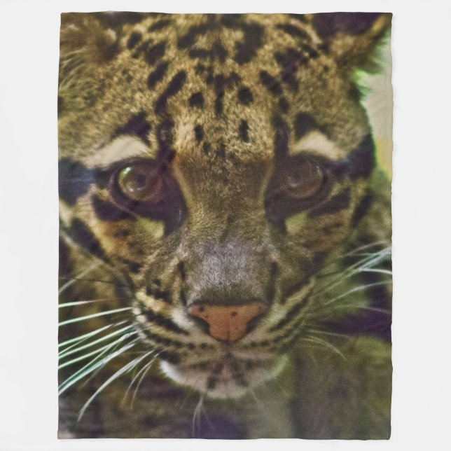 Clouded Leopard Fleece Blanket (Front)