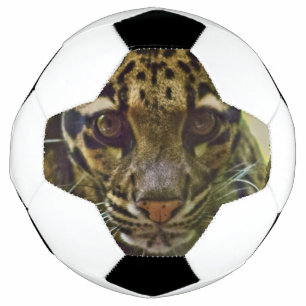 Clouded Leopard Football
