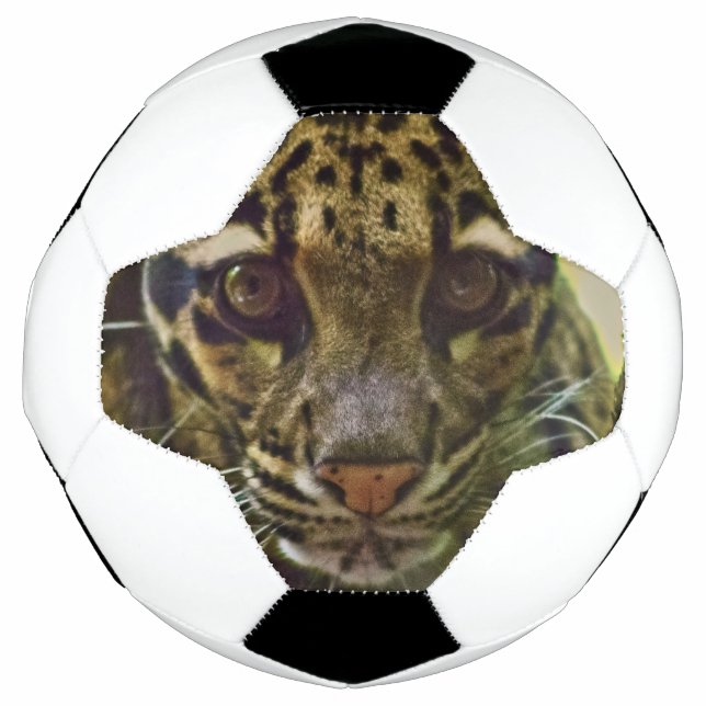 Clouded Leopard Football (Front)